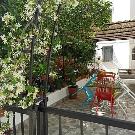 Zasge Turgutreis Apartment